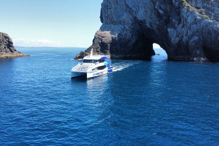 Hole in the Rock Scenic Cruise including Dolphins and Island stop - Photo 1 of 6